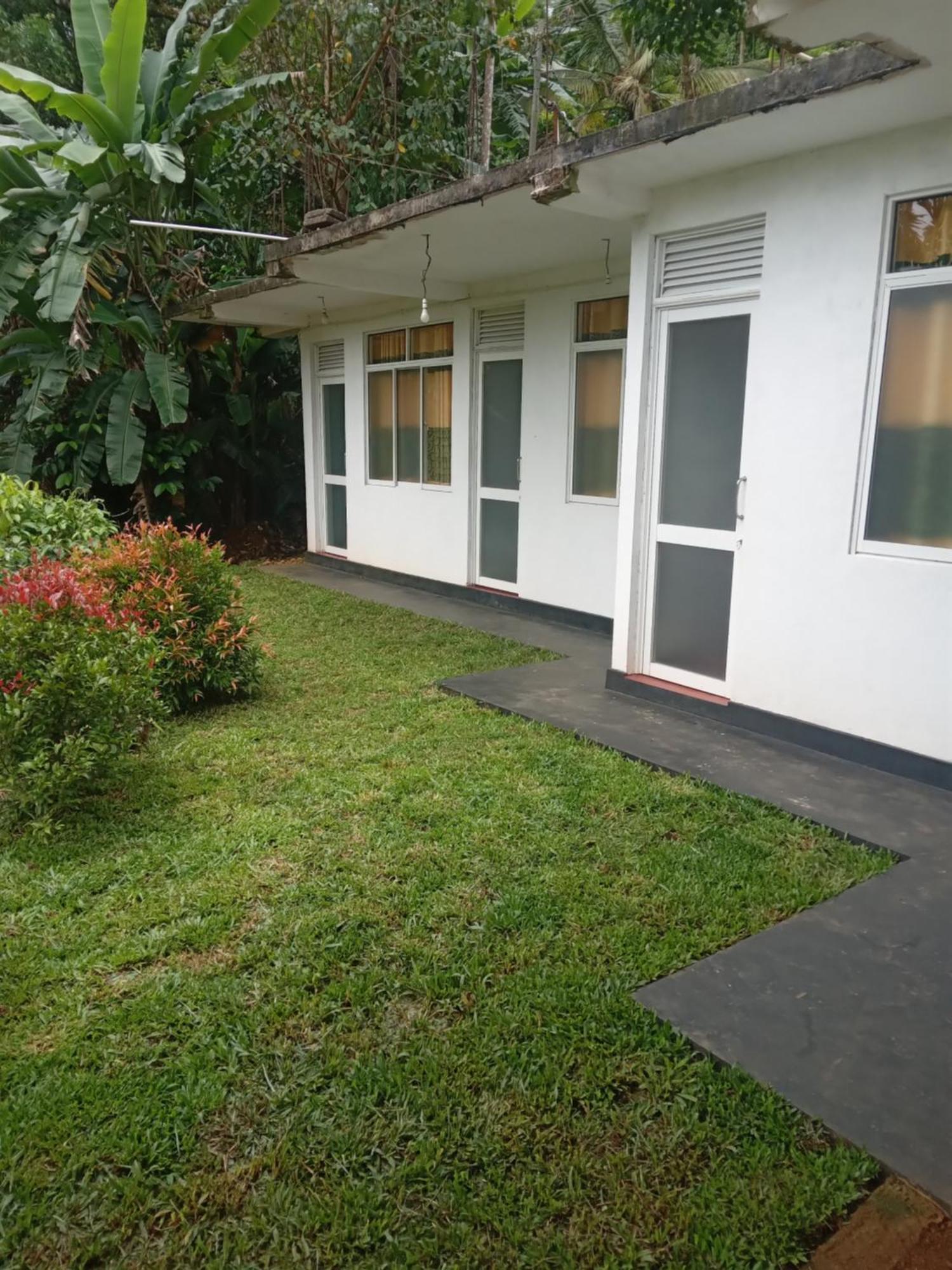 Rainforest Holiday Inn Deniyaya Exterior foto